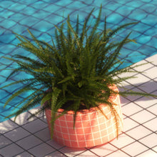 Load image into Gallery viewer, "Definitely Miami" Art Print by SR Formica