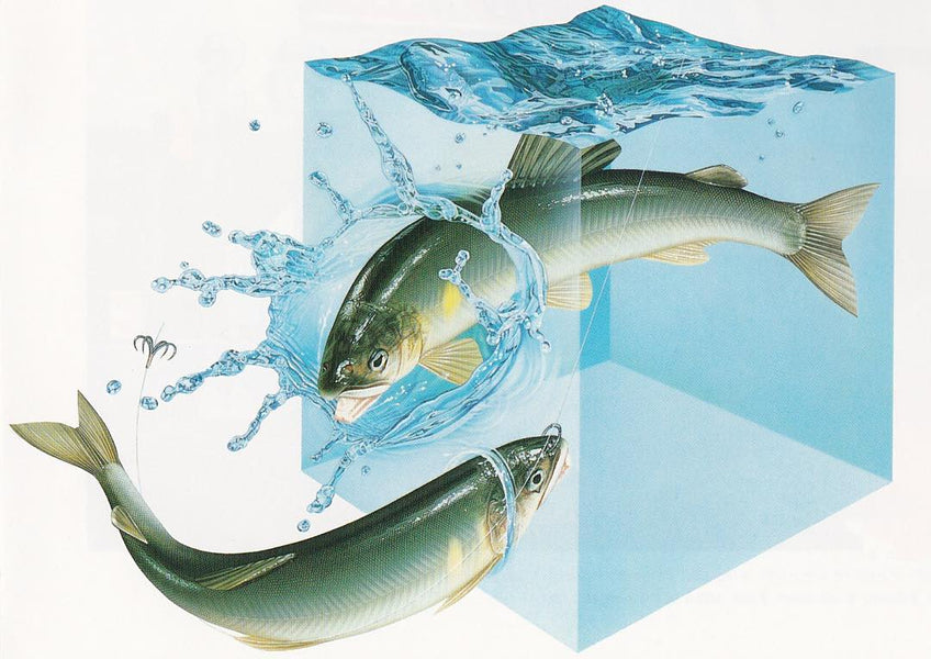 Toshikuni Okubo, 1986