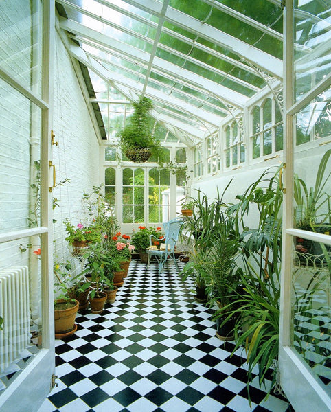 'Living Under Glass'. 1986.