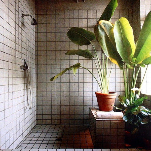 International Book of Lofts. 1986.