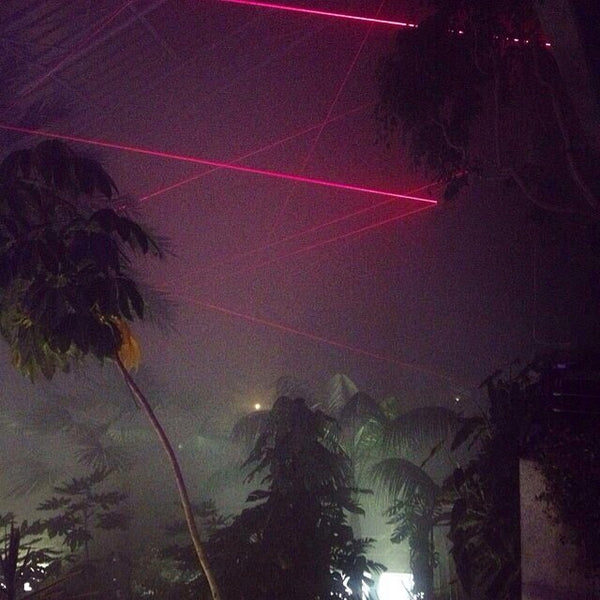 lasershooting palmtrees