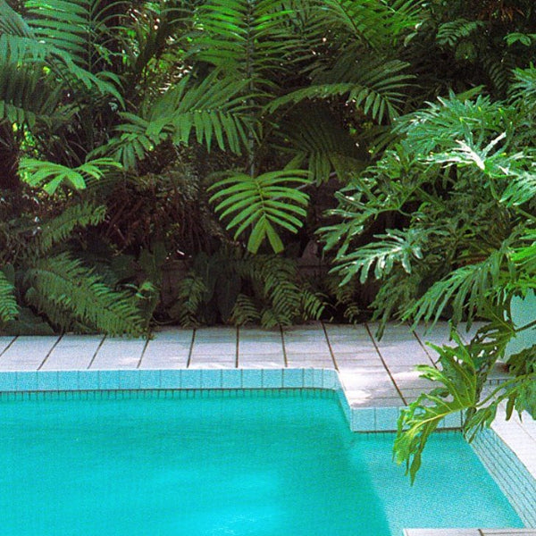 I would love to be there right now