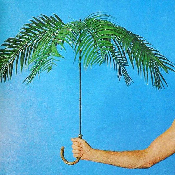 Philip Garner's Palmbrella