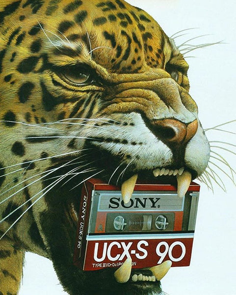 Japanese Ad for Sony UCX-S 90 Cassette.